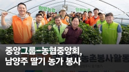 농번기 일손 보태려 왔어요 중앙그룹 임직원, 딸기농장 봉사 - kakaoTV 농번기 일손 보태려 왔어요 중앙그룹 임직원, 딸기농장 봉사