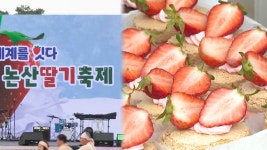 세계를 잇는 논산 딸기…2025 논산 딸기축제 성황 - kakaoTV 세계를 잇는 논산 딸기…2025 논산 딸기축제 성황