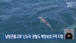‘남방큰돌고래’ 신도리·관탈도 해양보호구역 지정 - kakaoTV ‘남방큰돌고래’ 신도리·관탈도 해양보호구역 지정