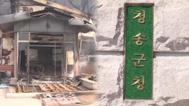 산불 피해 청송군, 모든 체육대회 취소…복구 주력 - kakaoTV 산불 피해 청송군, 모든 체육대회 취소…복구 주력
