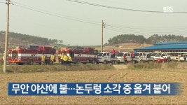 ㈜마국로지스 | [간추린 단신] 무안 야산에 불…논두렁 소각 중 옮겨 붙어 외 - kakaoTV [간추린 단신] 무안 야산에 불…논두렁 소각 중 옮겨 붙어 외