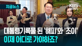 ‘180cm 거대견’ 해피·조이, 윤 대통령 파면 이후 거취는? [지금뉴스] - kakaoTV ‘180cm 거대견’ 해피·조이, 윤 대통령 파면 이후...
