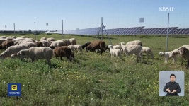 스페인, 올리브냐 태양광 발전소냐…로페라 마을의 갈등 - kakaoTV 스페인, 올리브냐 태양광 발전소냐…로페라 마을의 갈등