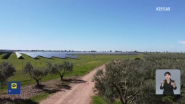 스페인, 올리브냐 태양광 발전소냐…로페라 마을의 갈등 - kakaoTV 스페인, 올리브냐 태양광 발전소냐…로페라 마을의 갈등