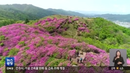 [전북의 창] “한 달 내내 철쭉”…남원 지리산 바래봉 철쭉제 개최 - kakaoTV [전북의 창] “한 달 내내 철쭉”…남원 지리산 바래봉 철쭉제 개최