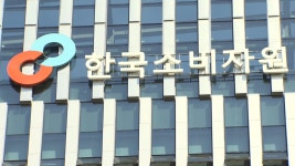 여행사들 경영난에…국외여행 소비자 피해 주의보 - kakaoTV 여행사들 경영난에…국외여행 소비자 피해 주의보