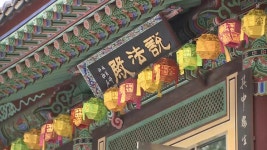 반려동물과 특별한 행사…남산 충정사 미앤펫 캠페인 - kakaoTV 반려동물과 특별한 행사…남산 충정사 미앤펫 캠페인