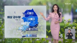[오후날씨 꿀팁] 제주·남해안 강한 비…중부, 내일까지 곳곳 비 - kakaoTV [오후날씨 꿀팁] 제주·남해안 강한 비…중부, 내일까지 곳곳 비