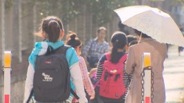 전남교육청, 유치원-초등학교 이음교육 강화 - kakaoTV 전남교육청, 유치원-초등학교 이음교육 강화