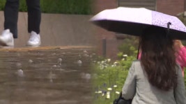 [아침와이드] 휴일 모처럼 화창…때 이른 더위도 주춤 - kakaoTV [아침와이드] 휴일 모처럼 화창…때 이른 더위도 주춤