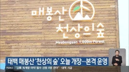 태백 매봉산 ‘천상의 숲’ 오늘 개장…본격 운영 - kakaoTV 태백 매봉산 ‘천상의 숲’ 오늘 개장…본격 운영