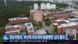 경상국립대, ‘부산에 국내 최대 동물병원’ 심의 통과 - kakaoTV 경상국립대, ‘부산에 국내 최대 동물병원’ 심의 통과