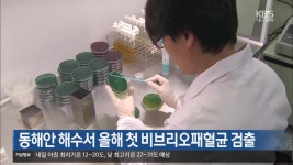 [여기는 포항] 동해안 해수서 올해 첫 비브리오패혈균 검출 외 - kakaoTV [여기는 포항] 동해안 해수서 올해 첫 비브리오패혈균 검출 외