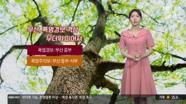 [날씨] 부산, 폭염경보 격상…온열질환 주의 - kakaoTV [날씨] 부산, 폭염경보 격상…온열질환 주의