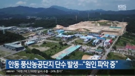안동 풍산농공단지 단수 발생…“원인 파악 중” - kakaoTV 안동 풍산농공단지 단수 발생…“원인 파악 중”