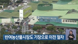반여농산물시장도 기장으로 이전 절차 - kakaoTV 반여농산물시장도 기장으로 이전 절차