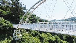 광주 제석산 구름다리 또 추락사고…안전대책 추가로 내놨지만 - kakaoTV 광주 제석산 구름다리 또 추락사고…안전대책 추가로 내놨지만