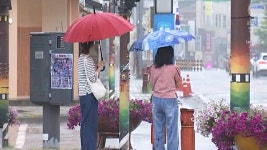 충남 서산에 420㎜ 물폭탄…중부 최대 180㎜ 더 온다 - kakaoTV 충남 서산에 420㎜ 물폭탄…중부 최대 180㎜ 더 온다