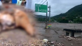 [제보 영상] 안방 들이친 흙더미에 장롱 와르르...소 농장도 통째로 잠겨 - kakaoTV [제보 영상] 안방 들이친 흙더미에 장롱 와르르...소 농장도... 