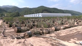 매몰자 추정 시신 1구 발견...이 시각 경남 산청 - kakaoTV 매몰자 추정 시신 1구 발견...이 시각 경남 산청