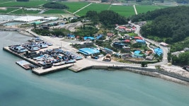 K전복 검은 반도체…이 지역 특산물이었어? [글로컬 머니] - kakaoTV K전복 검은 반도체…이 지역 특산물이었어? [글로컬 머니]