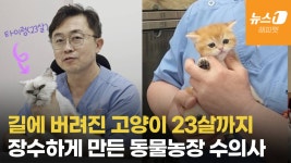 길에 버려진 고양이, 23살 장수묘 만든 사람…동물농장 수의사 - kakaoTV 길에 버려진 고양이, 23살 장수묘 만든 사람…동물농장 수의사