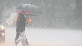 ‘모레까지 250mm↑’…호남지역 호우 특보 - kakaoTV ‘모레까지 250mm↑’…호남지역 호우 특보