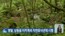 영월, 상동읍 이끼계곡 자연휴식년제 시행 - kakaoTV 영월, 상동읍 이끼계곡 자연휴식년제 시행