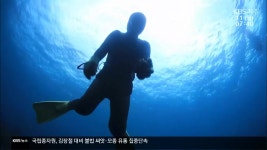 ‘광복 80년’ 독도 지킨 제주해녀 숨비소리, 다시 울리다 - kakaoTV ‘광복 80년’ 독도 지킨 제주해녀 숨비소리, 다시 울리다