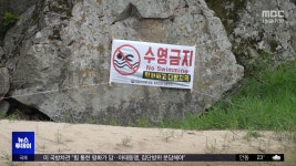 생태 보전 감시 멈추자‥물총 물놀이 명소로 - kakaoTV 생태 보전 감시 멈추자‥물총 물놀이 명소로