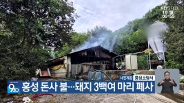 홍성 돈사 불…돼지 3백여 마리 폐사 - kakaoTV 홍성 돈사 불…돼지 3백여 마리 폐사