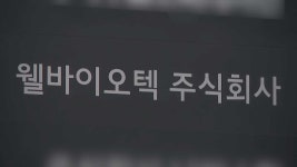 특검, 삼부 주가조작 웰바이오텍 등 10곳 압수수색 - kakaoTV 특검, 삼부 주가조작 웰바이오텍 등 10곳 압수수색