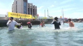 막바지 무더위 속 제주 용천수 샛도리물 인기 - kakaoTV 막바지 무더위 속 제주 용천수 샛도리물 인기