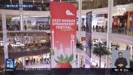 논산 딸기엑스포 국제행사 승인…‘세계 딸기 수도’로 도약 - kakaoTV 논산 딸기엑스포 국제행사 승인…‘세계 딸기 수도’로 도약