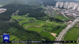 반도체 특구서 130억 원대 불법 투기‥23명 적발 - kakaoTV 반도체 특구서 130억 원대 불법 투기‥23명 적발