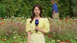 씨제이전남해남남부(선*래) | [날씨] 전남 해남·제주 북부 '호우주의보'...남부 '가을 호우' 밤사이 시간당 30mm - kakaoTV [날씨] 전남 해남·제주 북부 '호우주의보'...남부...