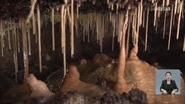 ‘역사와 신비의 보고’…용천동굴 공개 - kakaoTV ‘역사와 신비의 보고’…용천동굴 공개