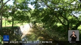 [전북의 창] ‘고창 하고리 삼태마을숲’…국가유산 천연기념물 지정 - kakaoTV [전북의 창] ‘고창 하고리 삼태마을숲’…국가유산... 