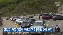 양양군, 가을 단풍철 오색지구 교통관리 대책 추진 - kakaoTV 양양군, 가을 단풍철 오색지구 교통관리 대책 추진