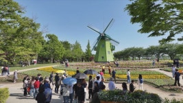 순천만국가정원, 올해 누적 관람객 300만 돌파 - kakaoTV 순천만국가정원, 올해 누적 관람객 300만 돌파