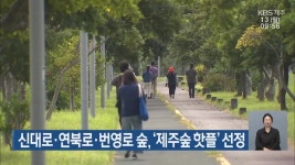 신대로·연북로·번영로 숲, ‘제주숲 핫플’ 선정 - kakaoTV 신대로·연북로·번영로 숲, ‘제주숲 핫플’ 선정