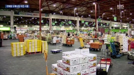 35년 호남 농산물 유통 ‘각화동 도매시장’ 이전 첫 발 - kakaoTV 35년 호남 농산물 유통 ‘각화동 도매시장’ 이전 첫 발