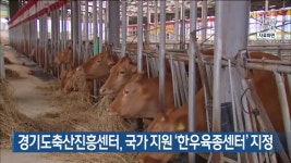 경기도축산진흥센터, 국가 지원 ‘한우육종센터’ 지정 - kakaoTV 경기도축산진흥센터, 국가 지원 ‘한우육종센터’ 지정