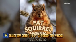 올해의 ‘뚱보 다람쥐’는 누구…미 주립공원 이색 선발대회 [잇슈 SNS] - kakaoTV 올해의 ‘뚱보 다람쥐’는 누구…미 주립공원 이색... 