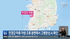 만경강 하류 야생 조류 분변에서 고병원성 AI 확인 - kakaoTV 만경강 하류 야생 조류 분변에서 고병원성 AI 확인