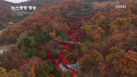 [뉴스광장 영상] 화담숲 - kakaoTV [뉴스광장 영상] 화담숲