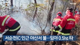 서순천IC 인근 야산서 불…임야 0.5ha 타 - kakaoTV 서순천IC 인근 야산서 불…임야 0.5ha 타