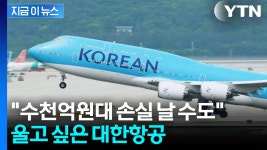 속수무책 절망적 상황...맏형 대한항공도 대규모 손실 위기 [지금이뉴스] - kakaoTV 속수무책 절망적 상황...맏형 대한항공도 대규모 손실... 