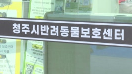 입양률 최고로…청주 반려동물보호센터 새 보금자리 - kakaoTV 입양률 최고로…청주 반려동물보호센터 새 보금자리