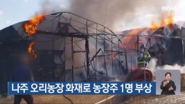나주 오리농장 화재로 농장주 1명 부상 - kakaoTV 나주 오리농장 화재로 농장주 1명 부상